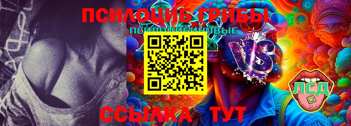 Галлюциногенные грибы Cubensis Сосновоборск
